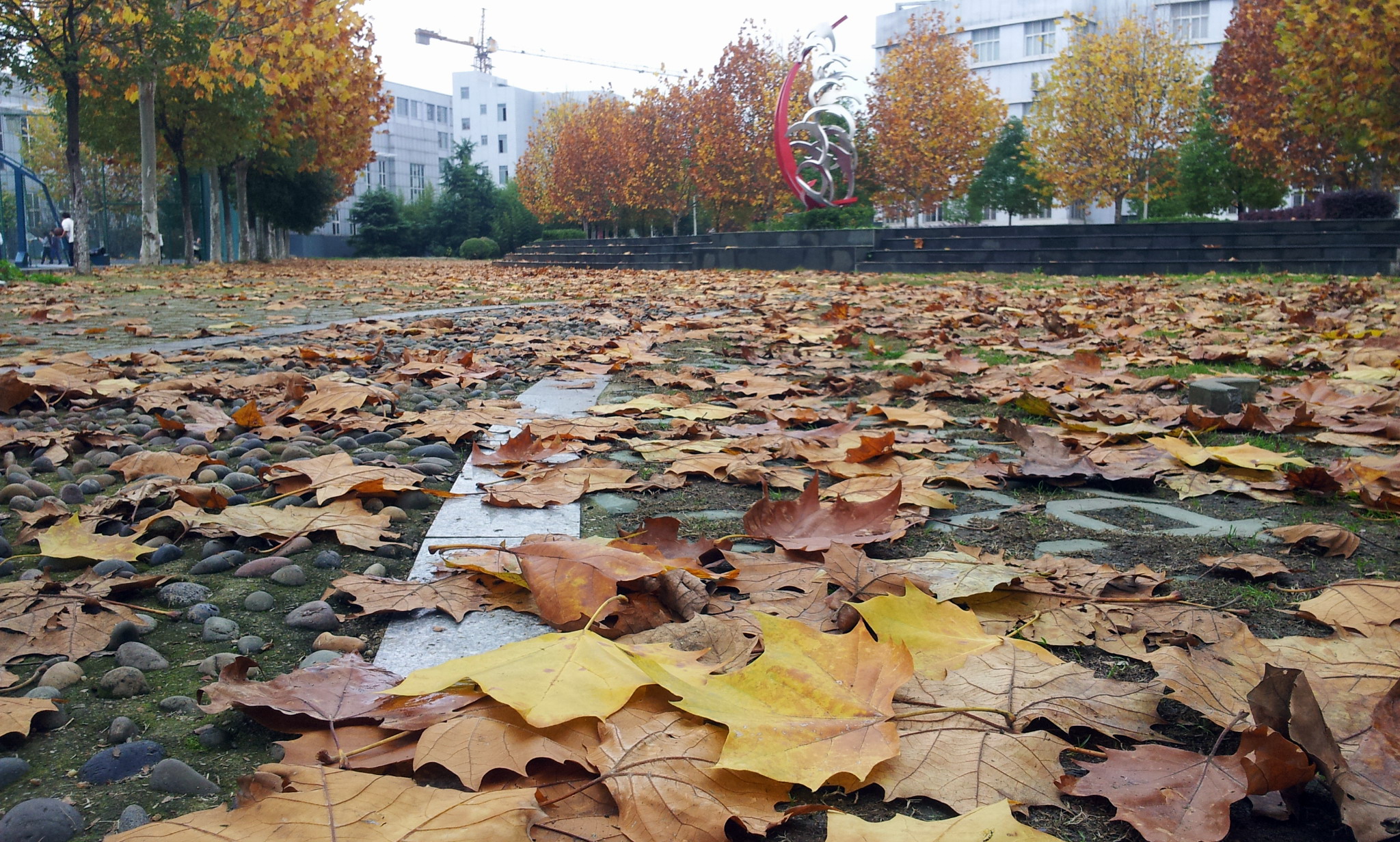 20151129_144627.jpg