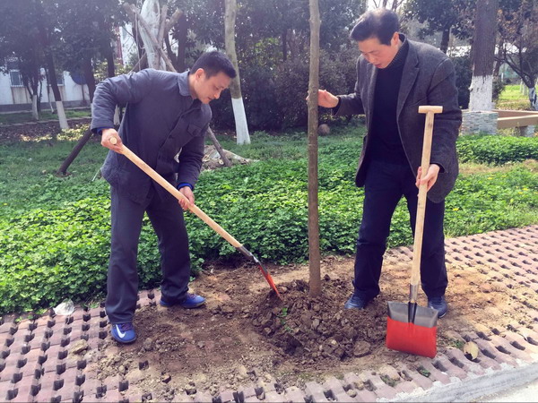 植树2.jpg