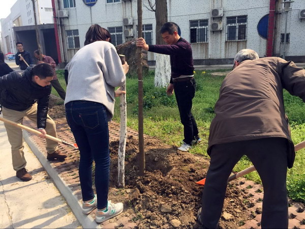 植树1.jpg