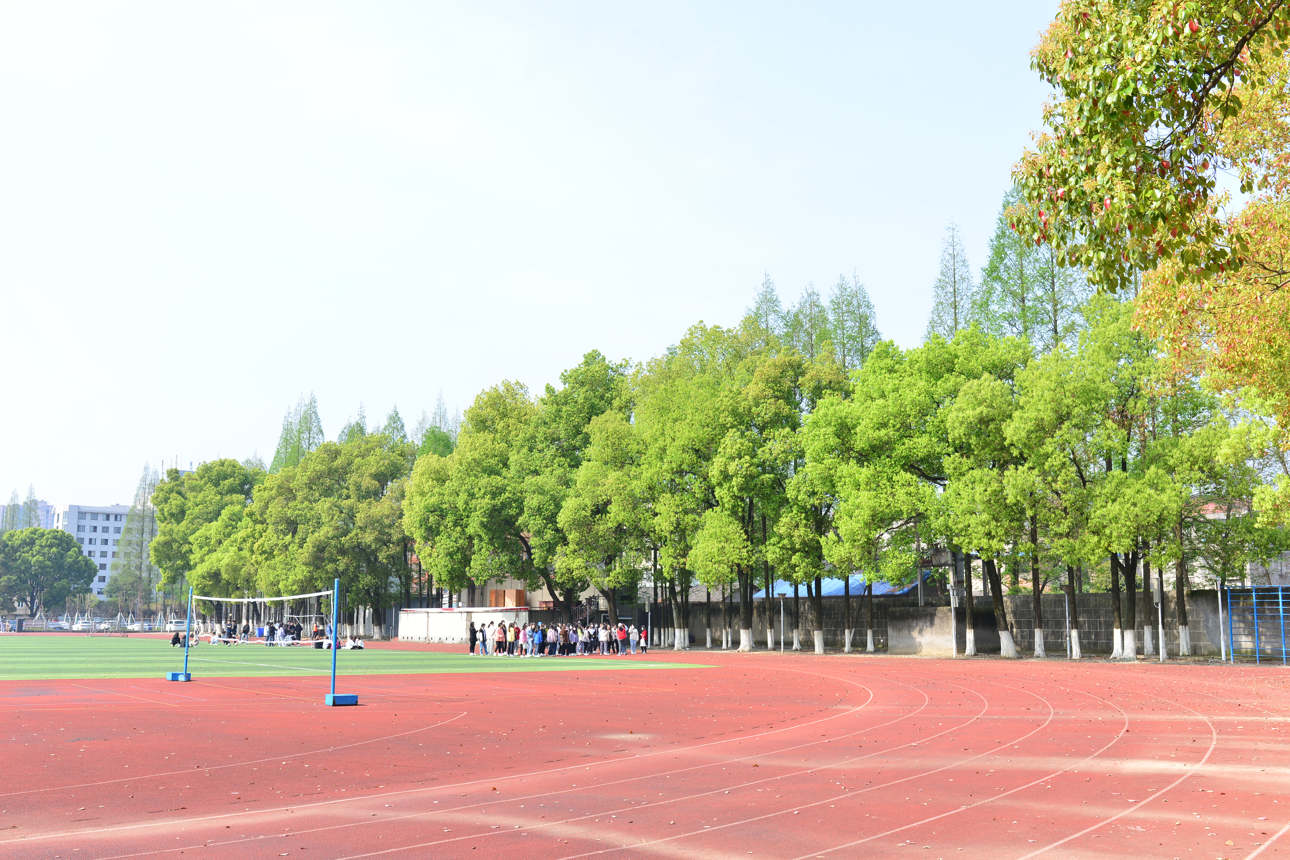体育场